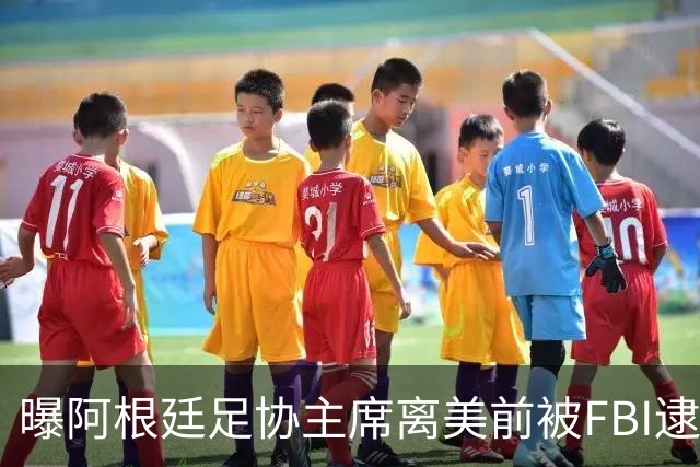 曝阿根廷足协主席离美前被FBI逮捕 涉嫌在美洗钱和欺诈